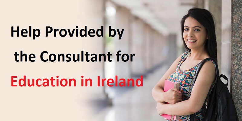 Help provided by the consultant for education in Ireland